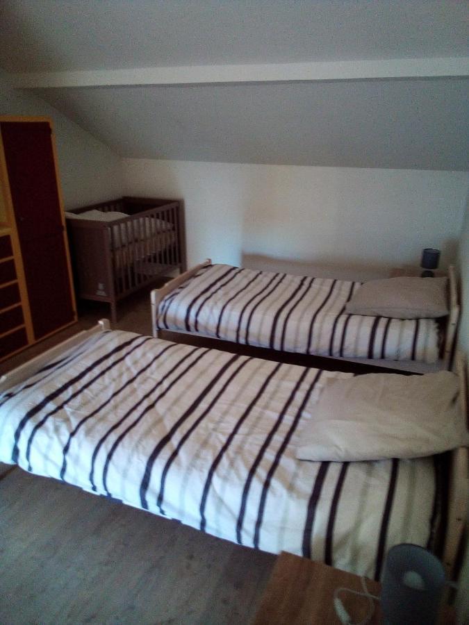 L'Oasis Maisonnette Centre Ville 3 Chambres Terrasse Espace Vert Prive Parc Sainte Croix Center Parc 20 Minutes Sarrebourg Extérieur photo